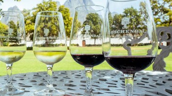 Private Full-Day Stellenbosch, Franschhoek Paarl Winelands