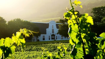 Private Cape Point and Constantia Wine Valley