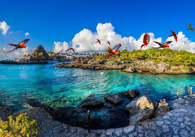 COMBO: Xcaret Park & Xoximilco Tickets with Transportation