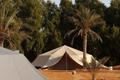 Tunisia '' Magic of the Desert ''.