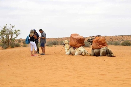 Excursion to the little Sahara, visit Tiznit, Tifnit, & Massa.