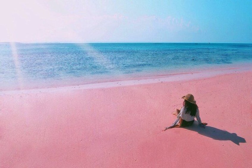 Visite L'île de Lombok: Pittoresque plage rose avec Guide Francophone