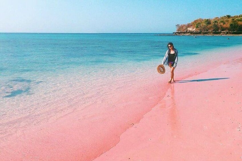 Visite L'île de Lombok: Pittoresque plage rose avec Guide Francophone