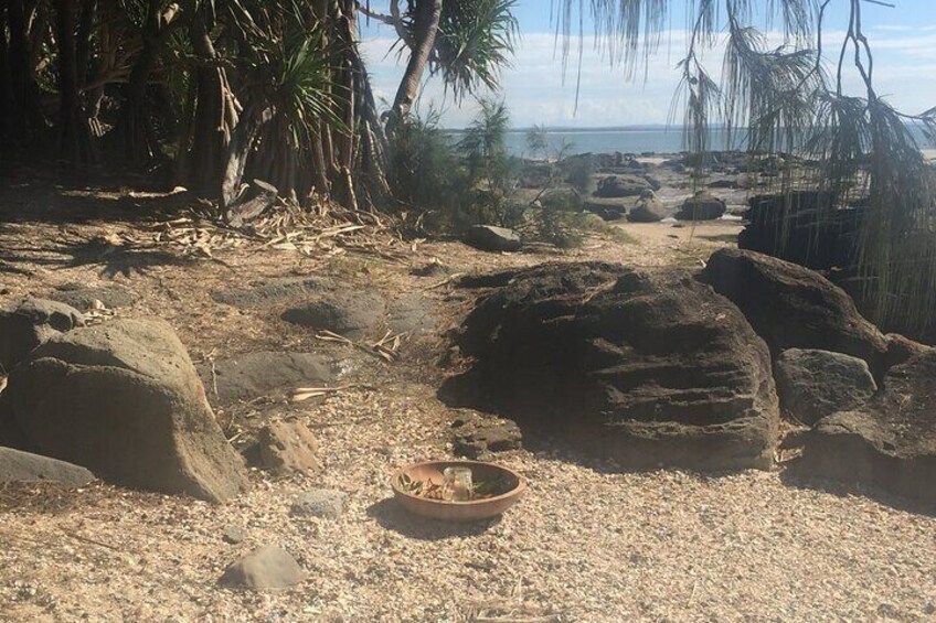 Wellness Walk
Feeling somewhat tired, stressed, missing "me time".
Iluka Nature and Soul offers a playful, gentle, and fun form of Forest Bathing.