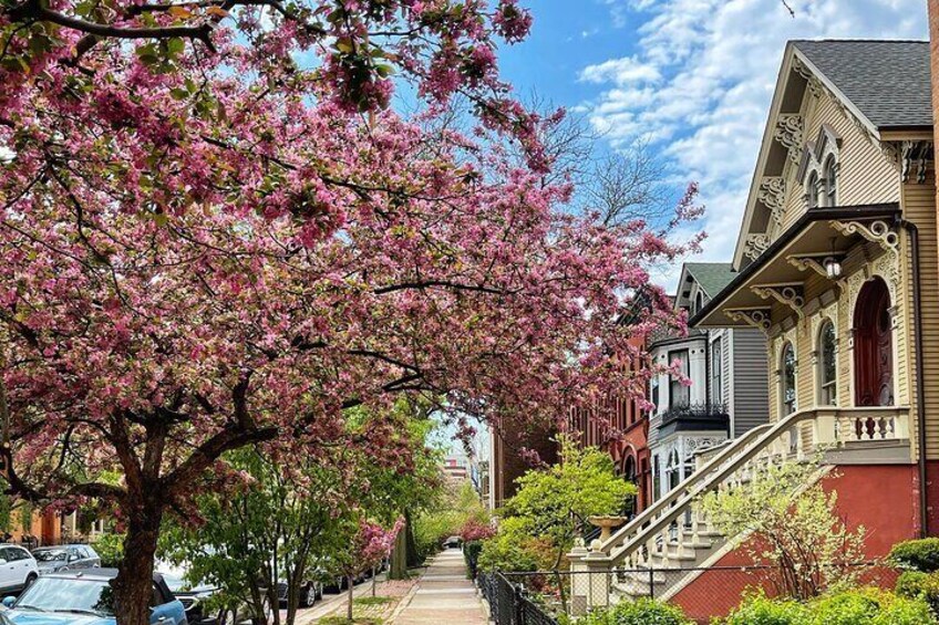 Workers Cottages of Oldtown Triangle Walking Tour
