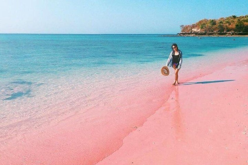 Lombok Pink Beach Island Hopping & Snorkeling with Japanese Speaking Guide