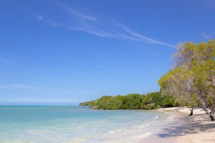 Agua Azul e Isla Cholon