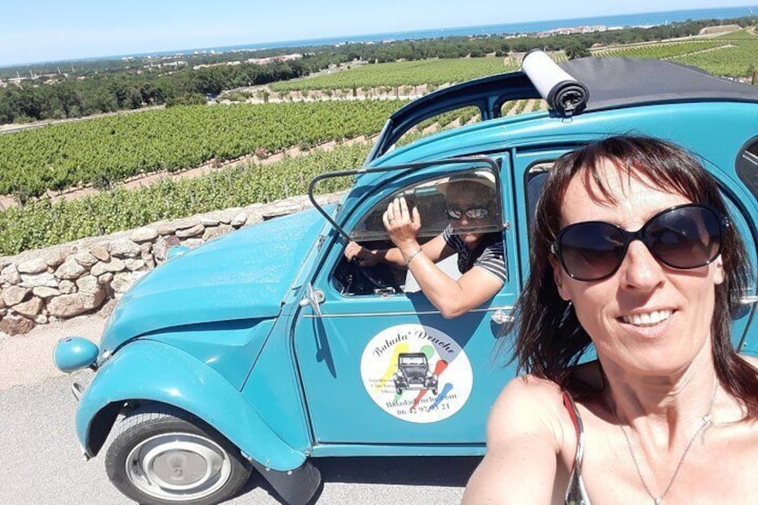 In the vineyards towards Perpignan ...