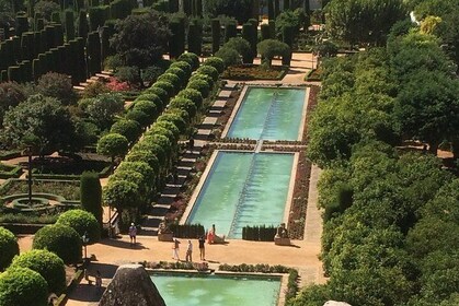 Guided tour of the Alcazar de los Reyes Cristianos in Spanish