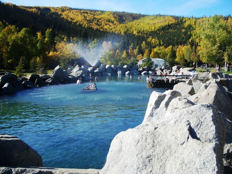Chena Hot Springs & Ice Museum Tour