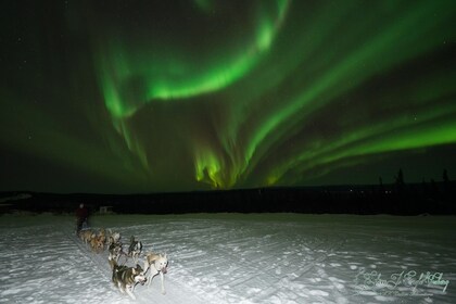 Excursión nocturna en trineo tirado por perros y observación de la aurora b...