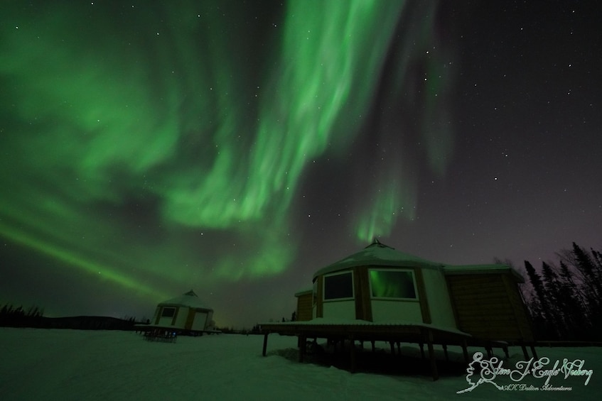 Evening Dog Sled & Aurora Viewing Tour with Dinner