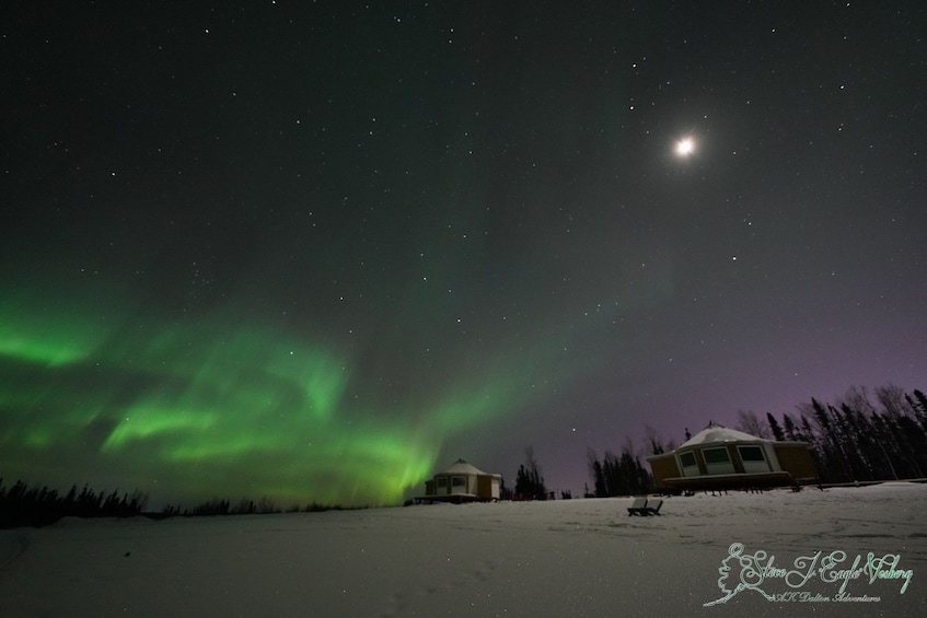 Evening Dog Sled & Aurora Viewing Tour with Dinner