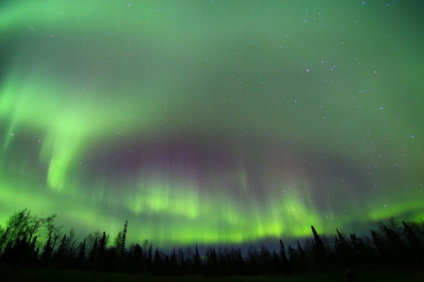 Murphy Dome Aurora Borealis Viewing Tour