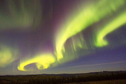 Murphy Dome Aurora Borealis rondleiding