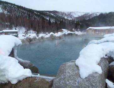 Chena Hot Springs with Ice Museum Tour & Northern Lights
