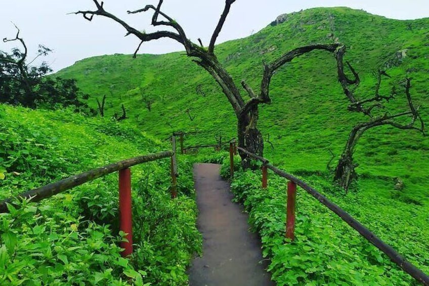 Hiking in Lima, Lomas de Lachay