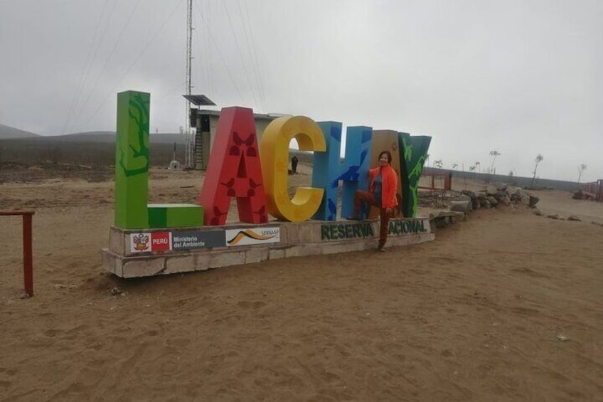 Hiking in Lima, Lomas de Lachay