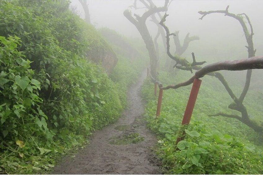 Hiking in Lima, Lomas de Lachay