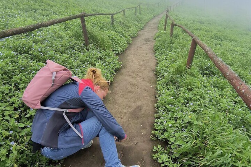 Hiking in Lima, Lomas de Lachay