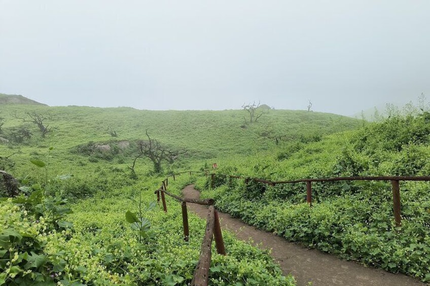 Hiking in Lima, Lomas de Lachay