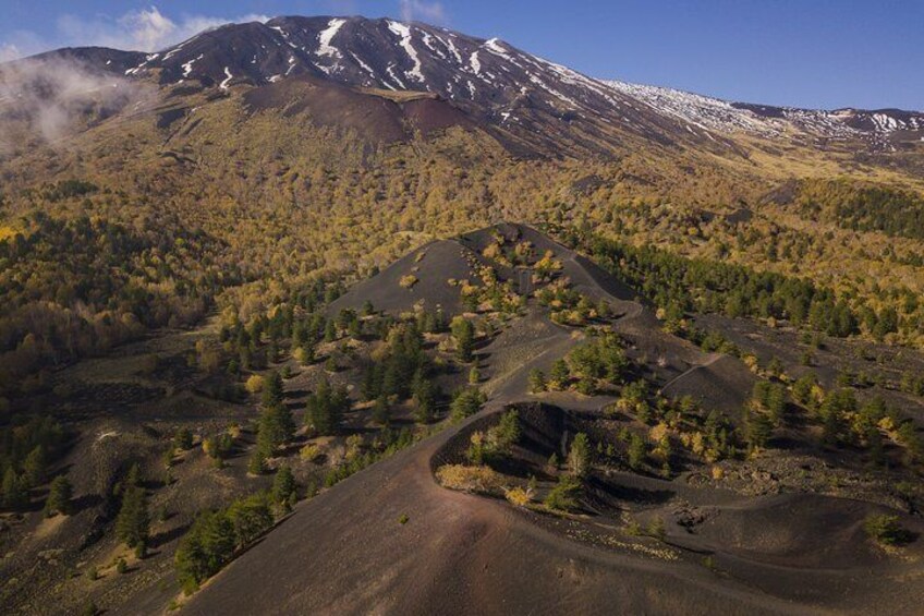 Etna North Sartorius