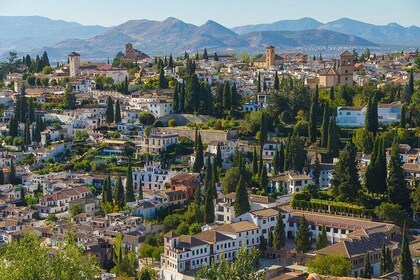 Alhambra Granada and Cordoba Mosque - Reduced group hotel pick up from Madr...