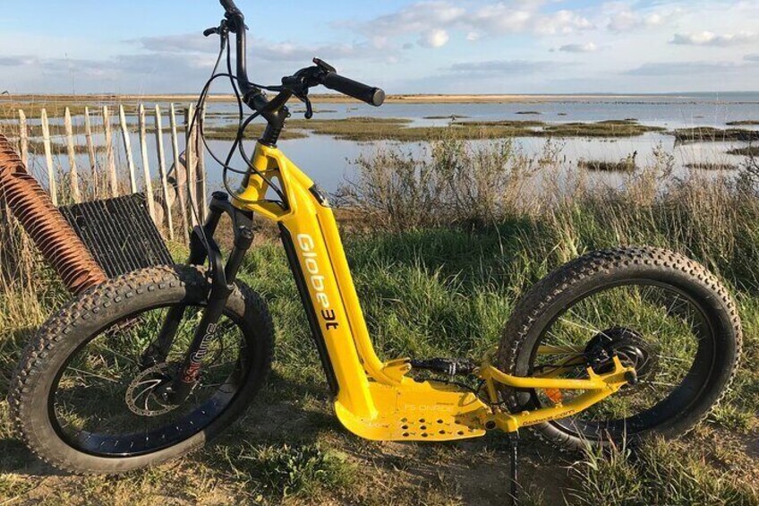 Guided Tour of Vincent Vineyard in Electric Scooter