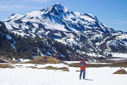 Trekking Step Desolation