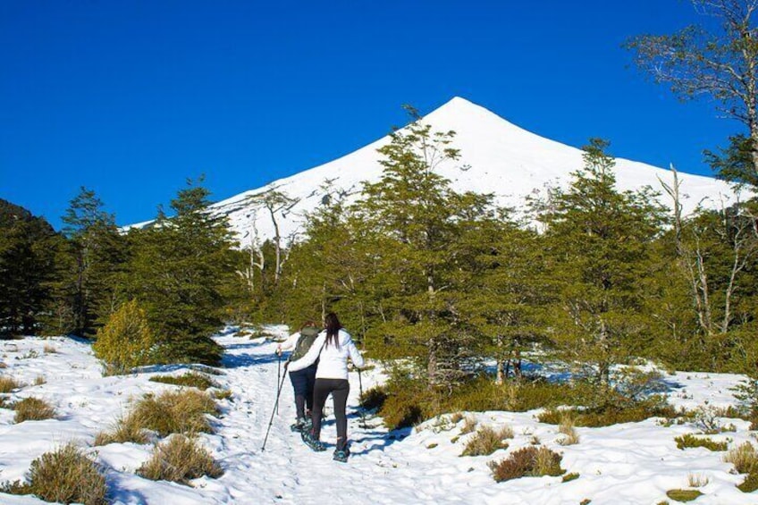 Trekking Step Desolation