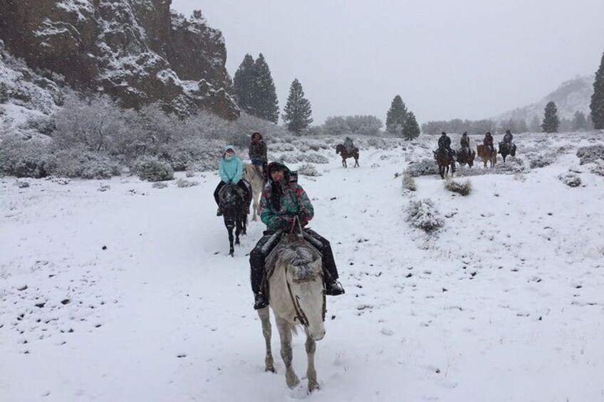 La Fragua Horseback Riding