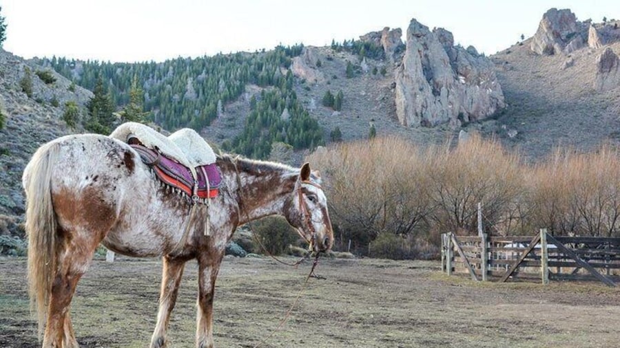 La Fragua Horseback Riding