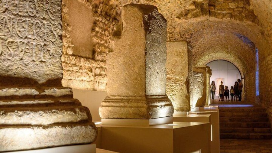 Guided Tour of Roman Tarragona