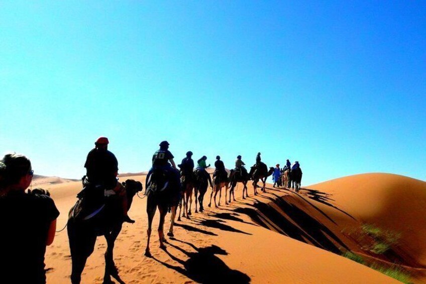 Camel Ride & Overnight Berber Camps in Merzouga Desert