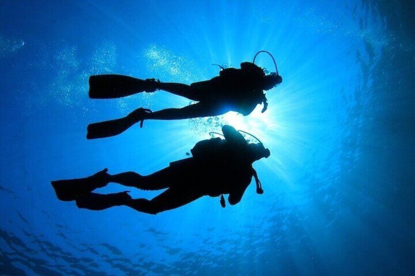 Try Scuba Diving with a Professional Instructor in Key Largo - All Inclusive