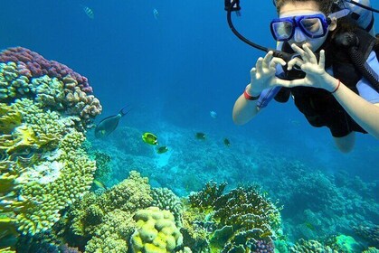 Learn to Scuba Dive with a Professional Instructor in Key Largo - All Inclu...