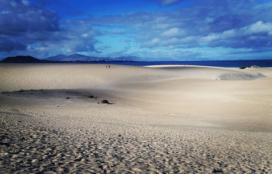Small-Group Fuerteventura Sightseeing Tour
