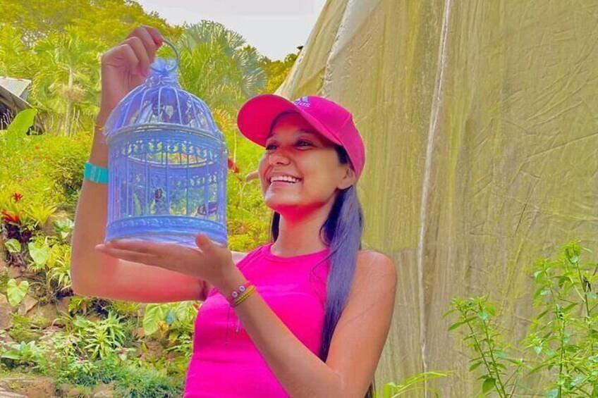 Paseo de las mariposas con experiencia de liberación de mariposas