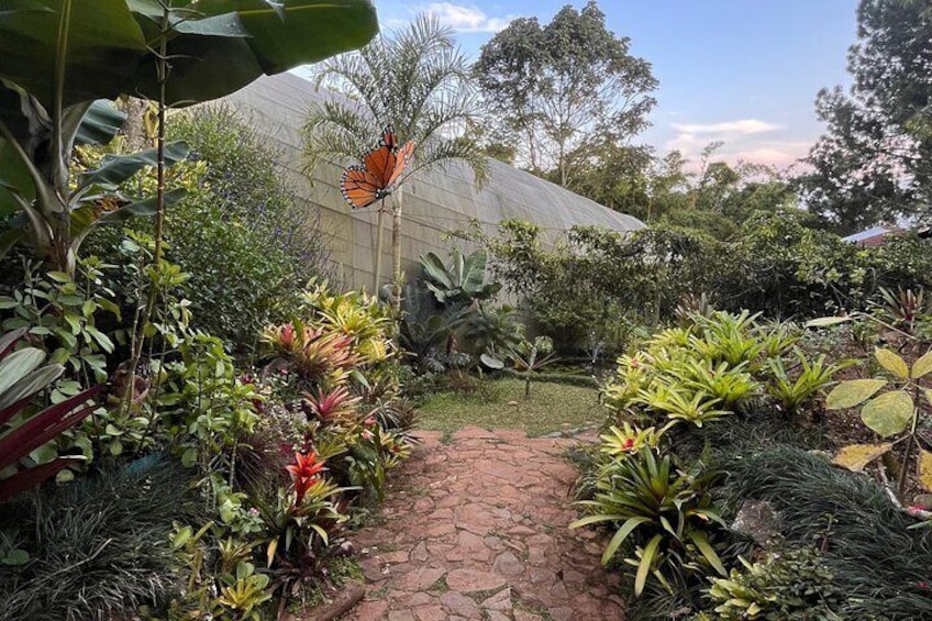 Lo mejor para hacer en Cali - Paseo de las Mariposas