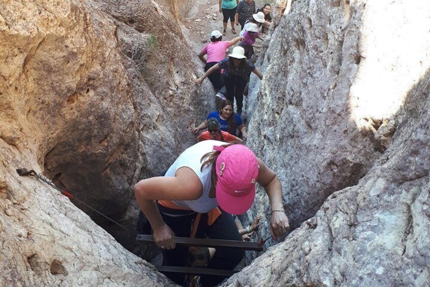 Adventure Park - Unforgettable Challenge!