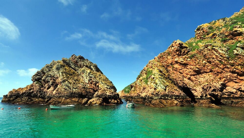 Day Trip to Berlengas Islands Nature Reserve