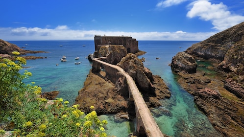 Tagesausflug zum Naturreservat der Berlengas-Inseln