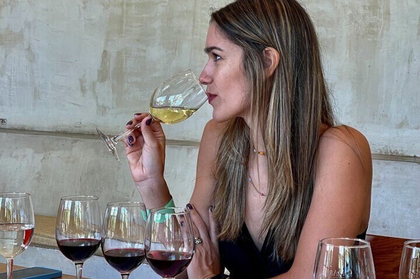 From Santiago: Viña Concha y Toro Marqués Half Day Tour