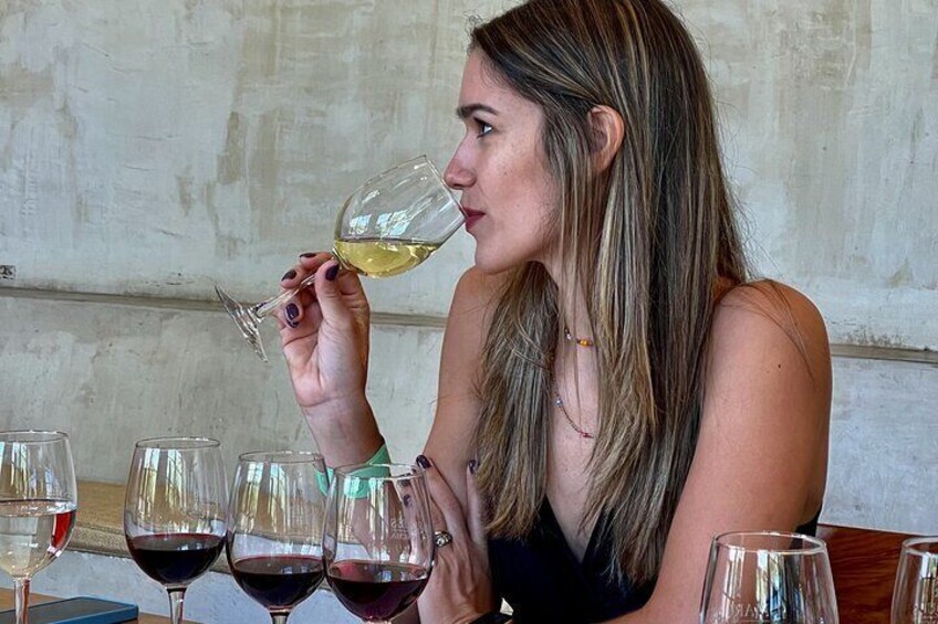 From Santiago: Viña Concha y Toro Marqués Half Day Tour