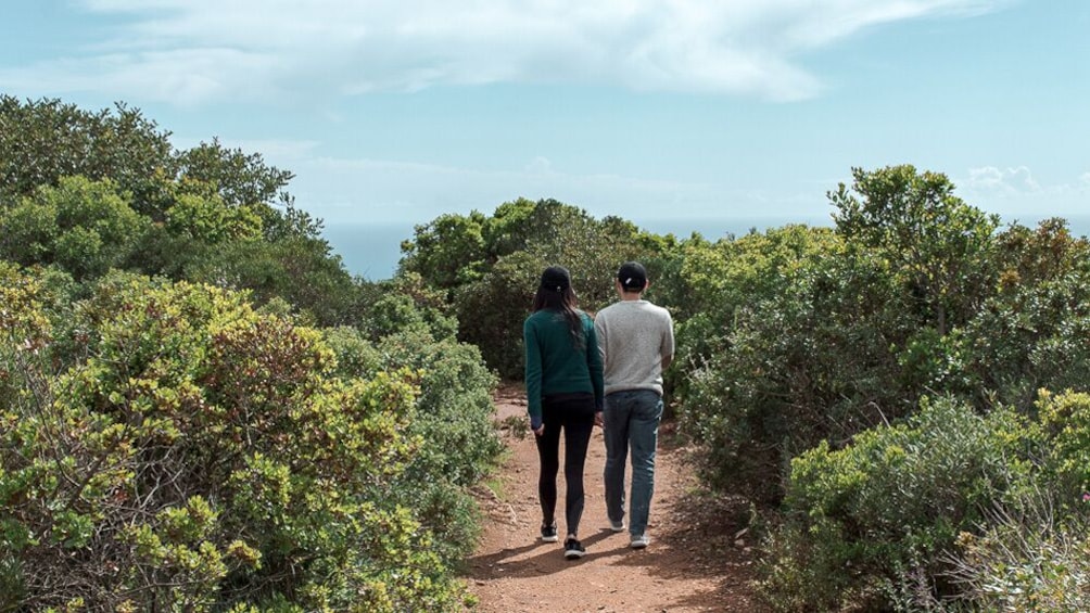 Small-Group Guided Excursion to Arrábida Natural Park & Town of Sesimbra