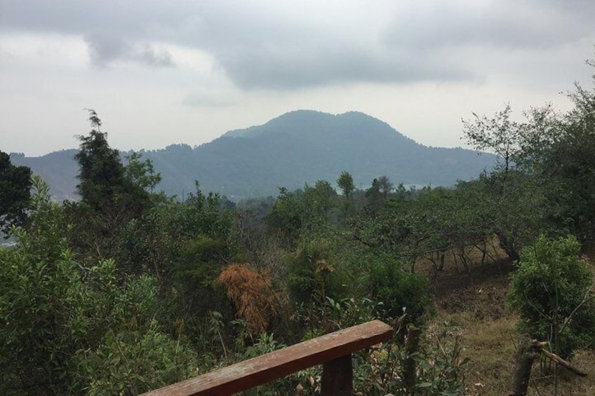 Views on the hike