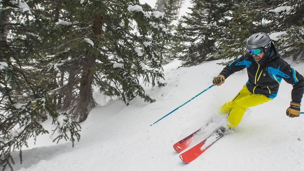 Cargar ítem 3 de 5. Vail ski trip