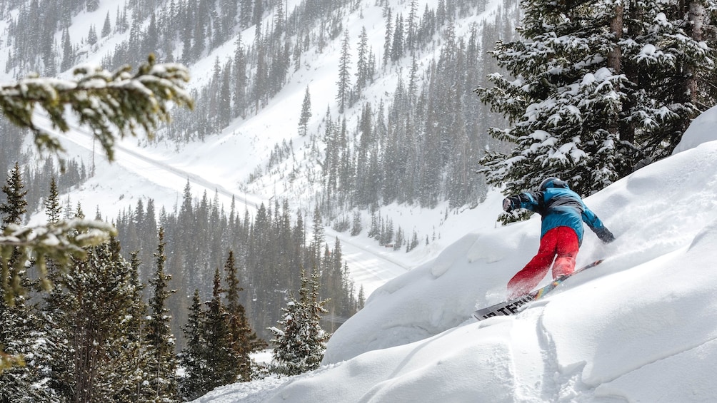 Cargar ítem 5 de 5. Snowboarding going down a hill in Colorado