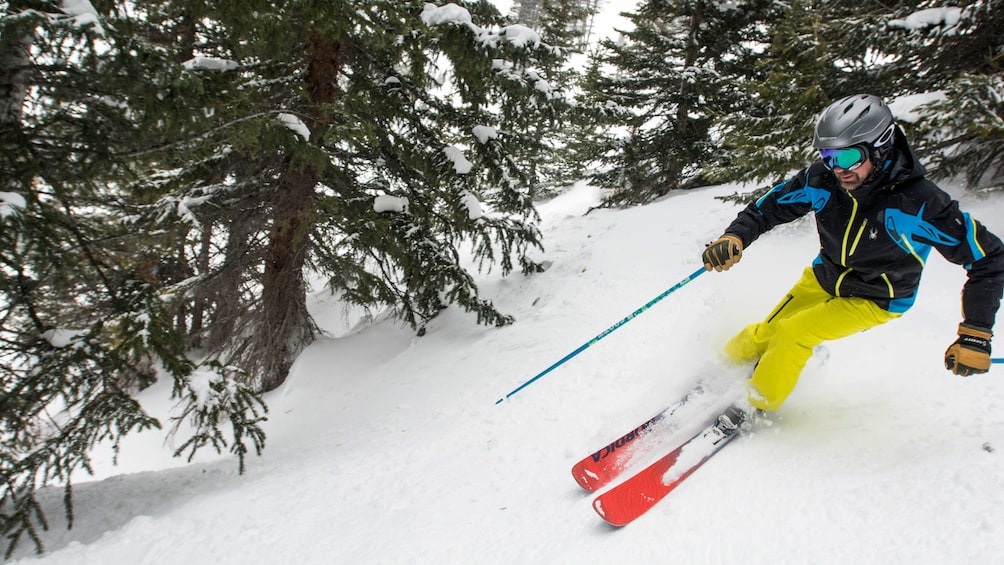 Cargar ítem 4 de 5. Person skiing downhill