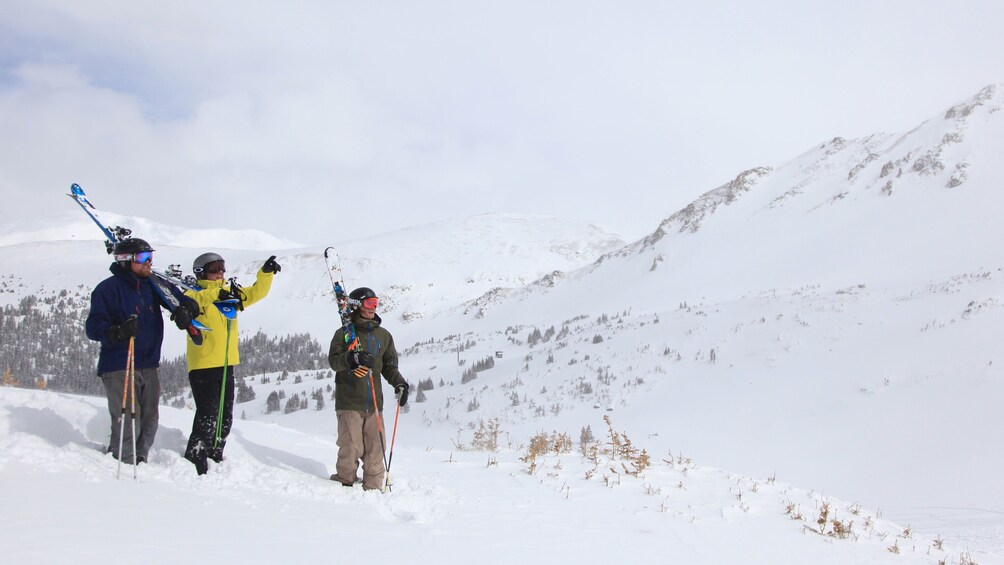 Cargar ítem 5 de 5. Group of skiers in the snow
